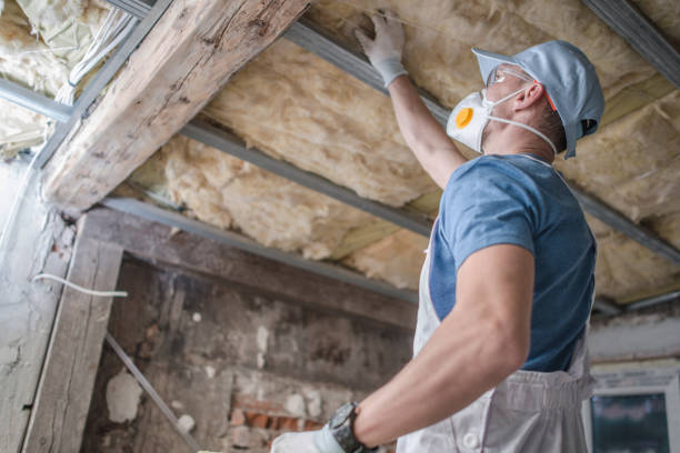 Best Residential Insulation in Puxico, MO