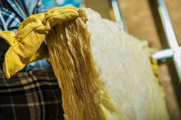 Professional Insulation Contractor in Puxico, MO